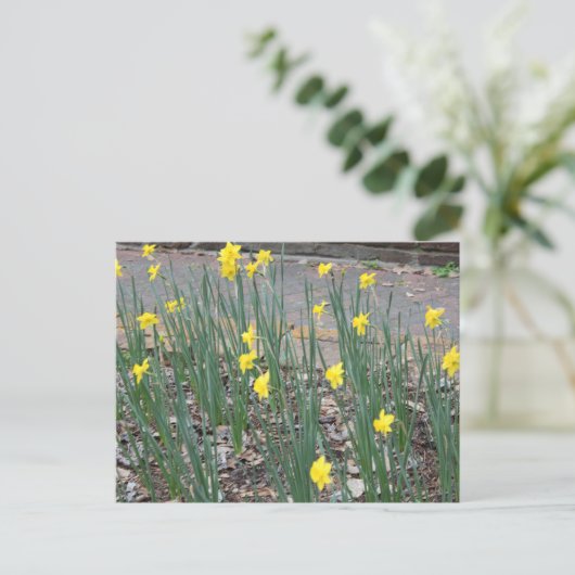 Wild Daffodils Briefkaart (Staand voorkant)
