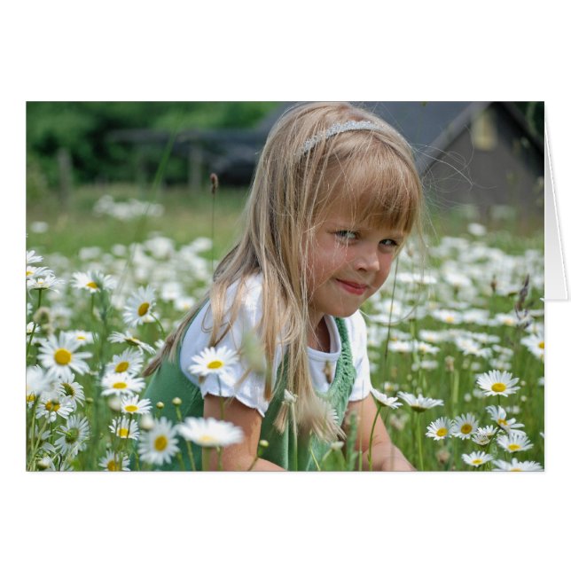 Wild Daisies (Voorkant Horizontaal)