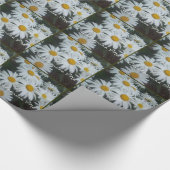 Wild Daisies Cadeaupapier (Hoek)