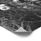 Wild Daisies Flower Black White Print (Hoek)