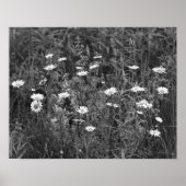 Wild Daisies Flower Black White Print (Voorkant)