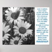 Wild Daisies Love Poster (Voorkant)