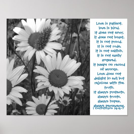 Wild Daisies Love Poster (Voorkant)