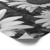 Wild Daisies Love Poster (Hoek)