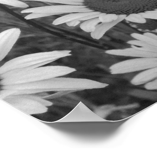 Wild Daisies Love Poster (Hoek)