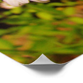 Wild Daisies met Isaiah 40:8 Poster (Hoek)