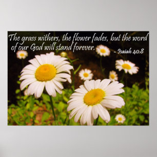 Wild Daisies met Isaiah 40:8 Poster