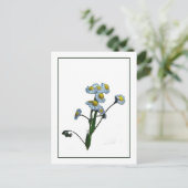 Wild Daisy Botanische Briefkaart met foto-schets (Staand voorkant)