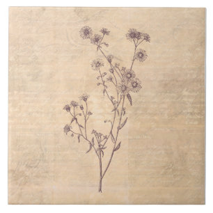 Wild Daisy Flower Wildflower Antiek Script Paper Tegeltje