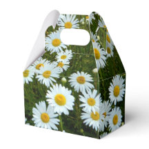 Wild Daisy Party Favor Box