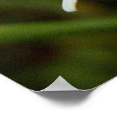 Wild Daisy Poster (Hoek)