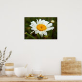 Wild Daisy Poster (Keuken)