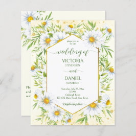 Wild daisy Spring flower flower budget bruiloft
