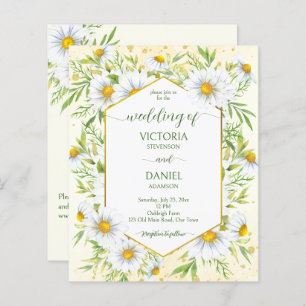 Wild daisy Spring flower flower budget bruiloft