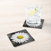 Wild Daisy White en Yellow Kartonnen Onderzetters (Insitu)