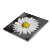 Wild Daisy White en Yellow Tegeltje (Zijkant)
