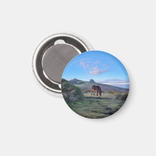 Wild Dartmoor Pony Horse Magnet (Voorkant / Achterkant)