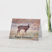 Wild Deer Buck  Pun Birthday Card Bedankkaart (Voorkant)