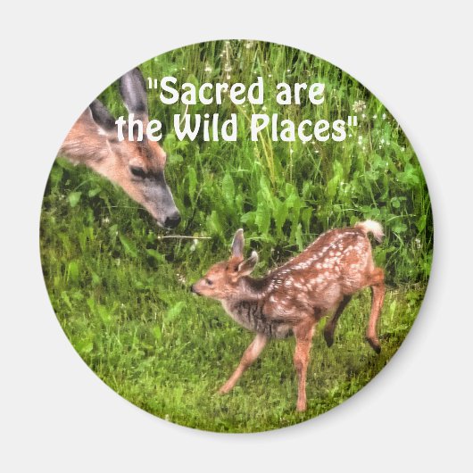 Wild Deer Fawn Wildlife voor buitenliefhebbers Magneet (Voorkant)