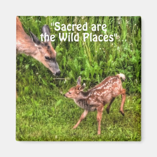Wild Deer Fawn Wildlife voor buitenliefhebbers Magneet (Voorkant)