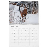 Wild Deer fotografie Kalender (Mar 2026)