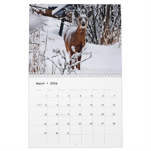 Wild Deer fotografie Kalender (Mar 2026)