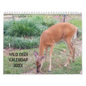 Wild Deer fotografie Kalender (Hoes)