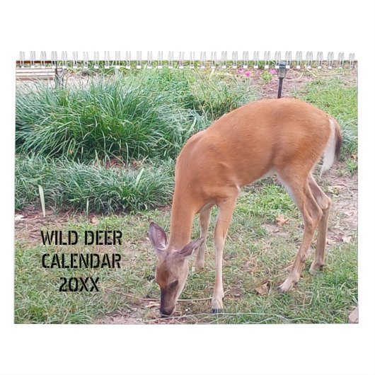 Wild Deer fotografie Kalender (Hoes)