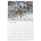 Wild Deer fotografie Kalender (Jan 2027)