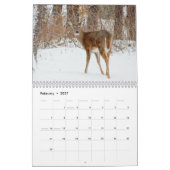Wild Deer fotografie Kalender (Feb 2027)