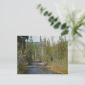 Wild Deschutes River, Oregon Briefkaart (Staand voorkant)