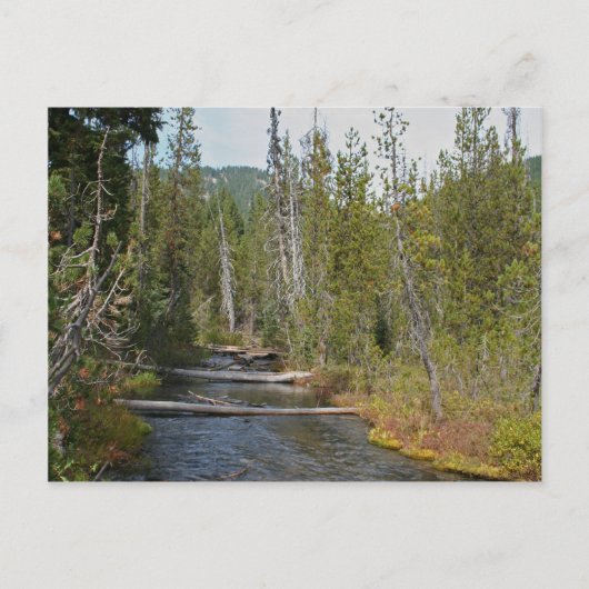 Wild Deschutes River, Oregon Briefkaart (Voorkant)