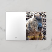 WILD DIER CAPYBARA FOLIE WENSKAART (Buiten Laag)