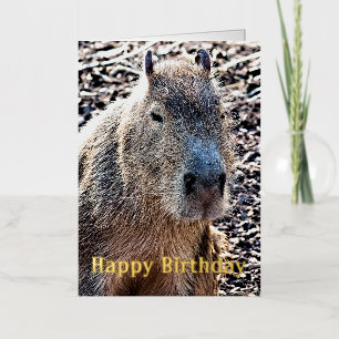 WILD DIER CAPYBARA FOLIE WENSKAART
