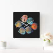 Wild Discus fish Vierkante Klok (Huis)