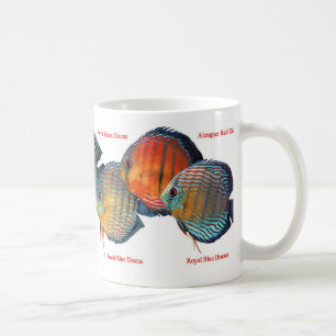 Wild Discus Koffiemok