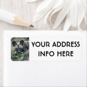 WILD DOG PUPPY ETIKET (Insitu)