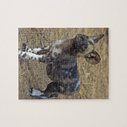 Wild Dog Puppy Legpuzzel (Horizontaal)