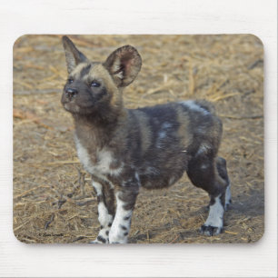 Wild Dog Puppy Muismat