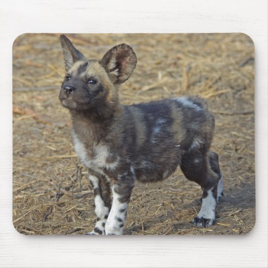 Wild Dog Puppy Muismat (Voorkant)