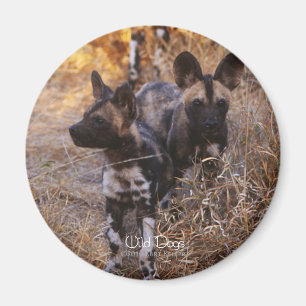 Wild Dogs Magnet