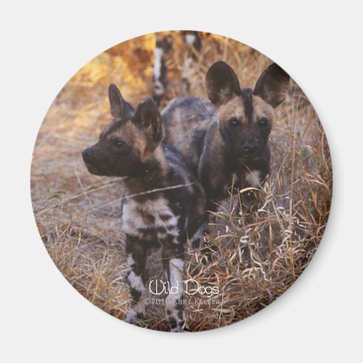 Wild Dogs Magnet (Voorkant)
