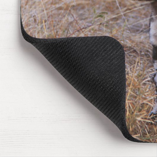 Wild Dogs Mousepad Muismat (Hoek)