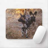 Wild Dogs Mousepad Muismat (Met muis)
