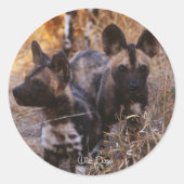 Wild Dogs Stickers (Voorkant)