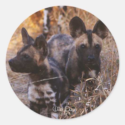 Wild Dogs Stickers (Voorkant)