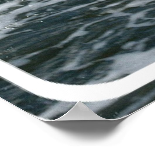 Wild Dolphin Poster afdrukken (Hoek)