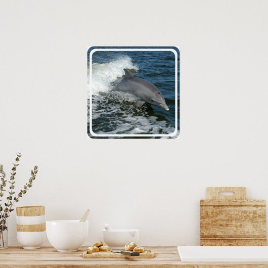 Wild Dolphin Poster afdrukken (Keuken)