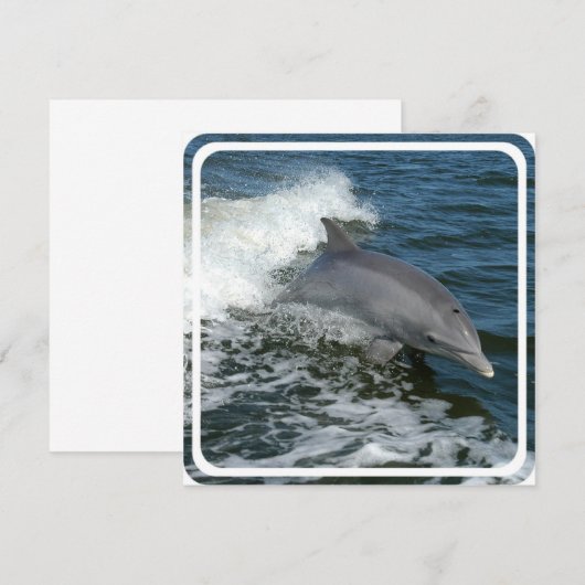 Wild Dolphin Uitnodiging (Voorkant / Achterkant)