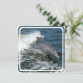 Wild Dolphin Uitnodiging (Staand voorkant)